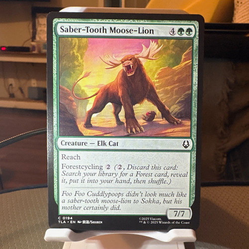 Wizards the coast - of,