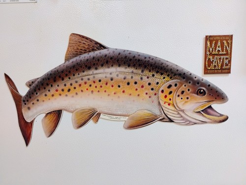 Saber tooth brown - saber-tooth, co.