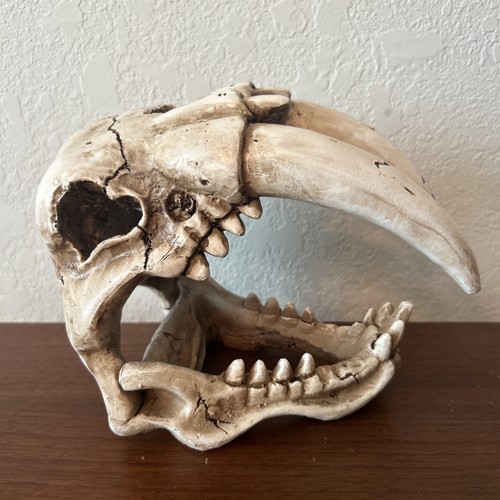 Smilodon saber tooth tiger - smilodon,