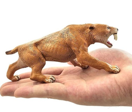 Saber toothed tiger - saber,